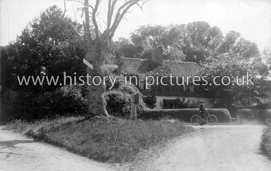 Cuckoo Pits, Epping Forset, Essex. c.1912